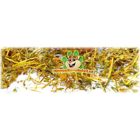 Gedroogd Viooltjeskruid 60 gram voor Knaagdieren & Konijnen!