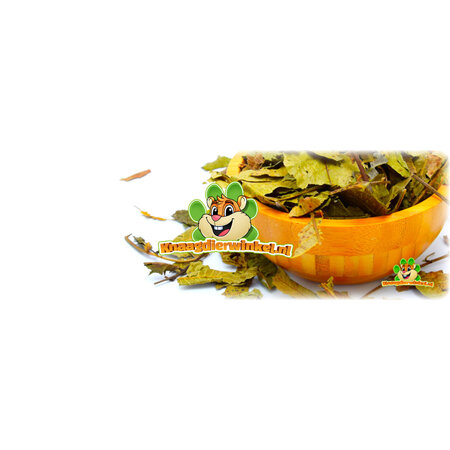 Dried Walnut Leaves for Rodents & Rabbits!