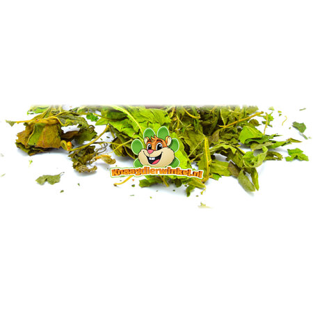 Feuilles de mûrier séchées pour rongeurs et lapins !