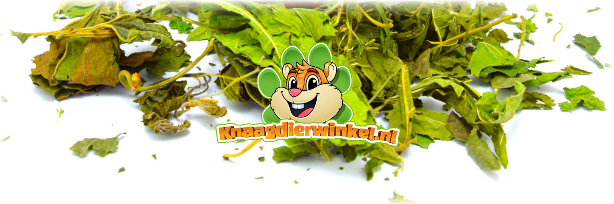 Getrocknete Maulbeerblätter, Kräuter und Blätter von Nagetieren und Kaninchen