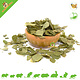 Knaagdier Kruidenier Dried Birch Leaves for Rodents & Rabbits!