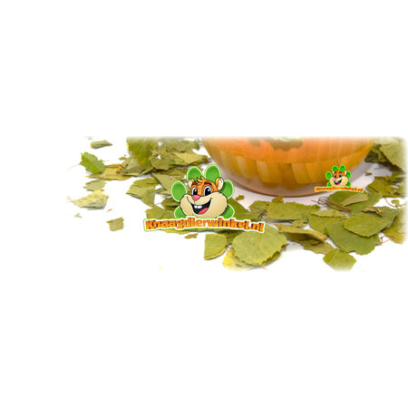 Feuilles de bouleau séchées pour rongeurs et lapins !