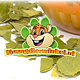 Knaagdier Kruidenier Dried Birch Leaves for Rodents & Rabbits!