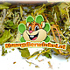 Knaagdier Kruidenier Dried Raspberry Leaves for Rodents & Rabbits!