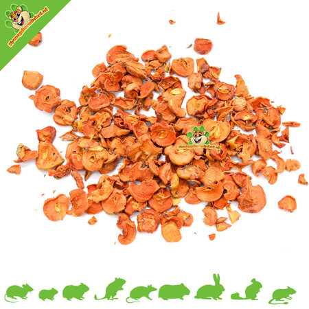 Wild Apple Slices for Rodents & Rabbits!