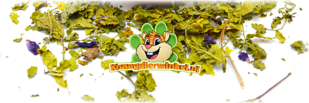 Dried Mallow Leaves rodent and rabbit herbs and flowers banner