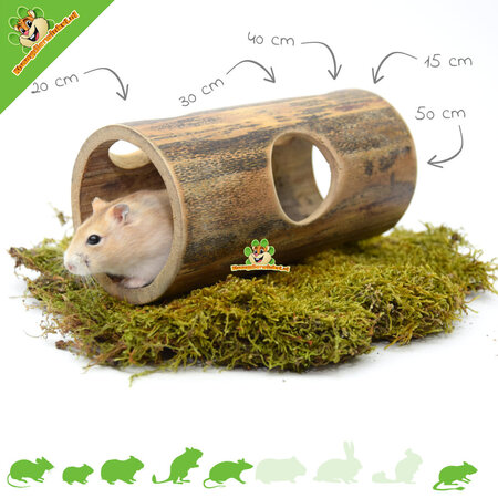 Bambusowy tunel dla gryzoni!