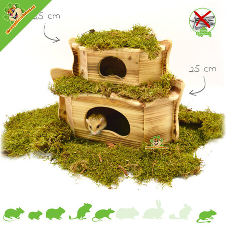 Maison d'angle Zwartwoud pour rongeurs !