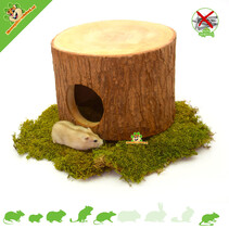 Gajah tree trunk 18 cm