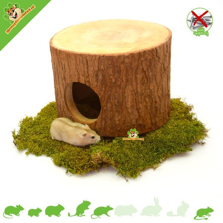 Tree Trunk Gajah for Rodents!