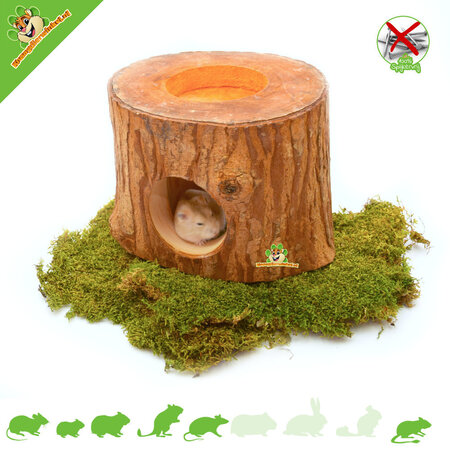 ¡Paraíso exótico de troncos de árbol para roedores!