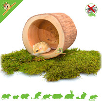 Tree trunk Bali Cup 15 cm