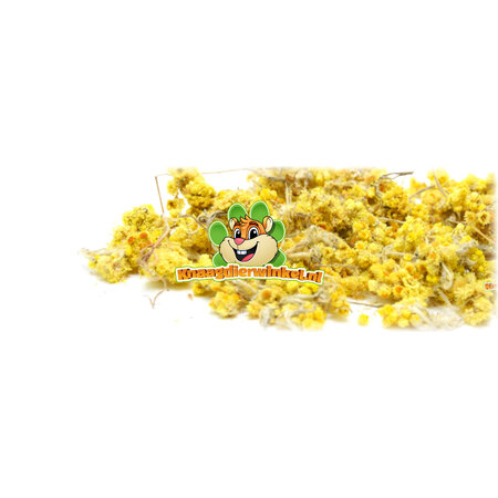 Yellow Flower Daisies 60 grams for Rodents & Rabbits!