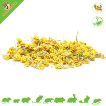 Yellow Flower Daisies 50 grams