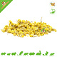 Yellow Flower Daisies 50 grams for Rodents & Rabbits!