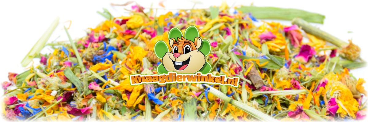 Hierbas y flores secas para roedores y conejos en la pradera de flores