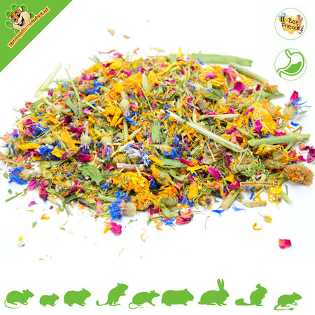 Trockenblumenwiese für Nagetiere & Kaninchen!