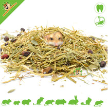 Knabbel Adventure VITAL Cavia 500 gram