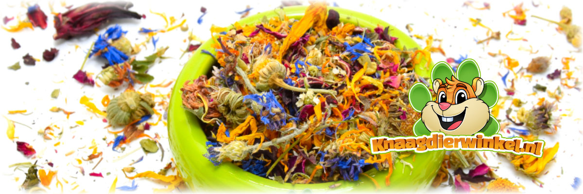 Dried Blossom Mix rodent and rabbit herbs and flowers