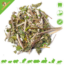 Snacks herbales Denta 400 gramos