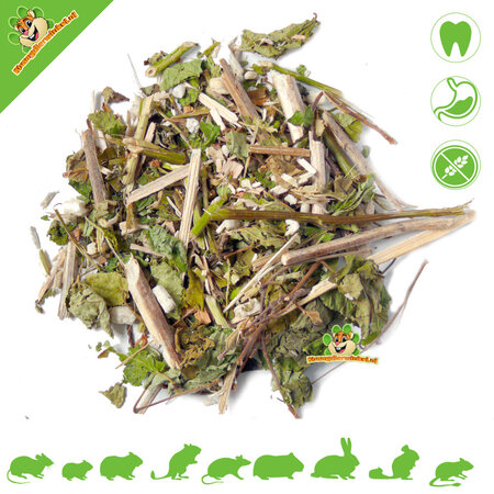 Hugro Denta Nibble Herbs dla gryzoni i królików!