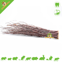 Nibble Broom Birch 40 cm