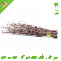 Retama de abedul de 40 cm