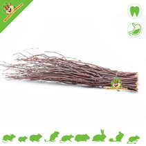 Retama de abedul de 40 cm