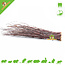 Hugro Nibble Broom Birch for Rodents and Rabbits