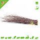 Hugro Nibble Broom Birch for Rodents and Rabbits