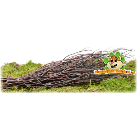 Hugro Grignotez du bouleau à balai pour rongeurs et lapins !