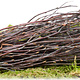 Hugro Nibble Broom Birch for Rodents and Rabbits