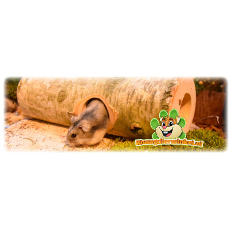 Hugro Birkenstammtunnel Heinsberg für Nagetiere!