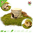 Hugro ¡Hamsterscaping Auratus Cave Tronco de árbol de 13 cm para roedores!