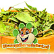 Gedroogde Echinacea voor Knaagdieren en Konijnen 150 gram