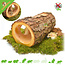 Alder Wooden Tree Trunk Tunnel 33 cm for Rodents!