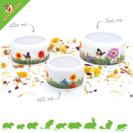 Ceramiczna miska do karmienia Meadow dla gryzoni i królików