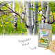 Chipsi Aspen Poplar Wood Fiber Granulate Fine 2 kg