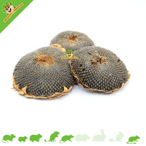 Sunflower head Large 1 piece