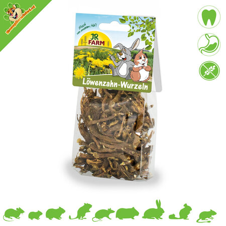 JR Farm Korzenie mniszka lekarskiego – naturalny materiał do żucia