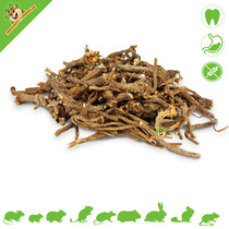 Dandelion root