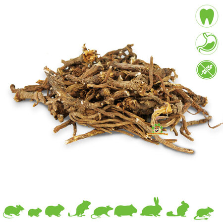 JR Farm Dandelion Roots Natural Chewing Material