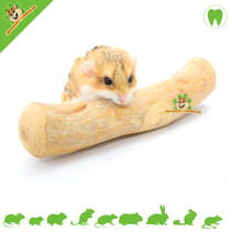 Bois à mâcher Coffeewood 20 cm