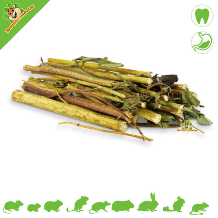 JR Farm Palitos de Topinambur