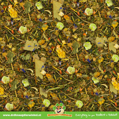 JR Farm Alimento natural para conejos sin cereales y sin pellets 2 kg