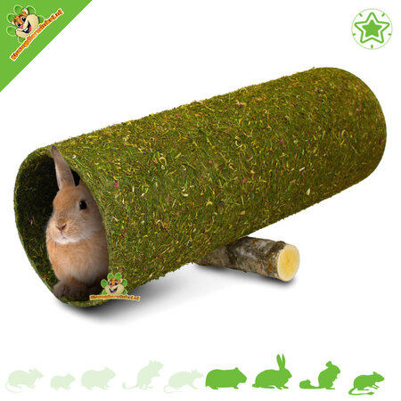 JR Farm XXL Blumentunnel Wippe Wap 60 cm