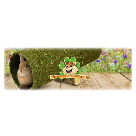 JR Farm Huśtawka do tunelu kwiatowego XXL Wap 60 cm