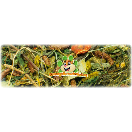 JR Farm JR Farm Grainless Health Mix Alimento para conejos 1,2 kg – Sin cereales y rico en fibra