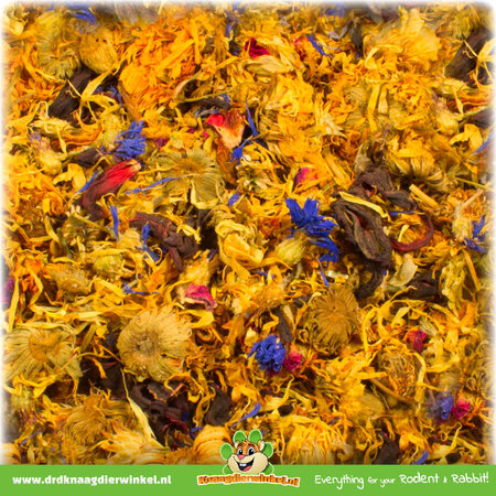 JR Farm Chinchilla Bloementuin voor Chinchilla’s, Degoes & Knaagdieren