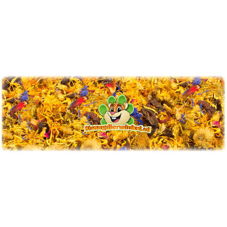 JR Farm Ogród Kwiatowy dla Szynszyli, Koszatniczek i Gryzoni